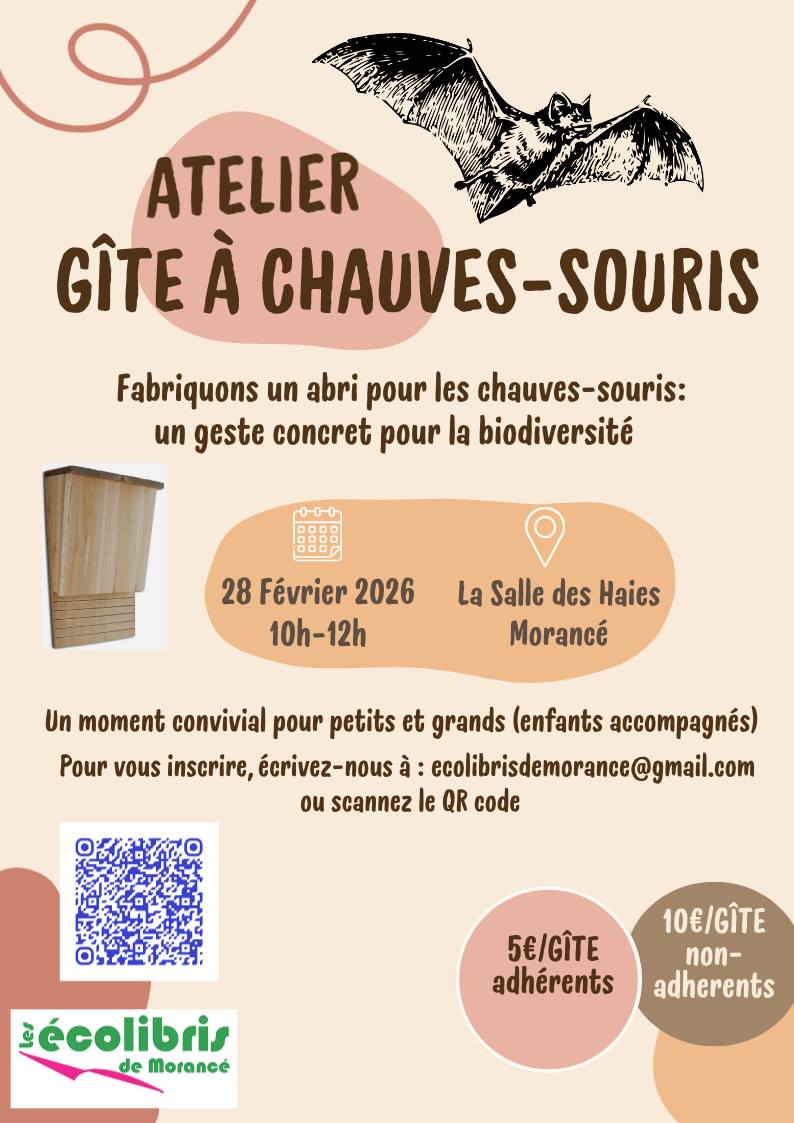 Les écolibris : Atelier Gîte à chauves-souris